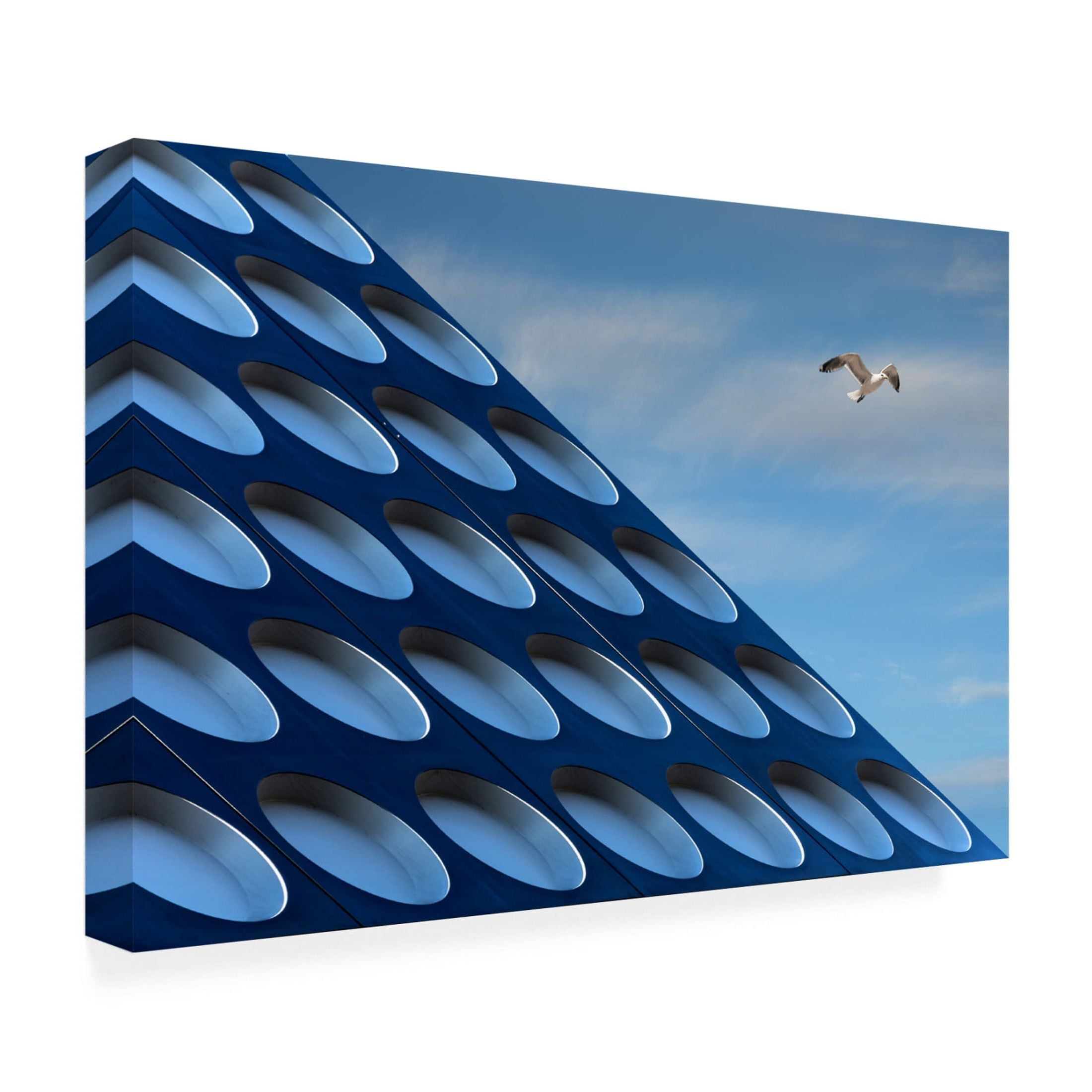 Canvas Wall Art - Henk van Maastricht 'The Seagull' Wall Art for Living Room, Bedroom, or Office Décor by Trademark Fine Art - 47 x 30 Inches