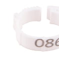thumbnail image 2 of Paquete de 100 Anillos Ajustables para Identificación de Aves Jinwen, 2 of 8