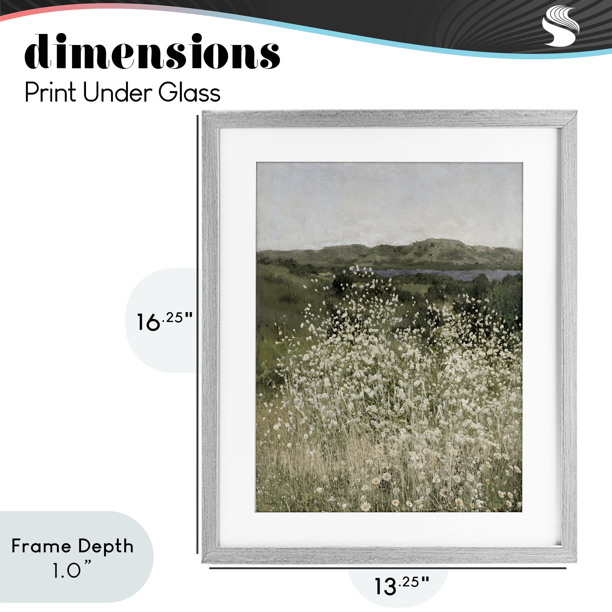 Stupell Industries Sunlit Meadow of White Daisies Gray Framed Print Under Glass, design by Amber Sterling