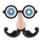 thumbnail image 5 of Lentes divertidos con , favores de para niños, disfraces, accesorios de Halloween, 5 of 9