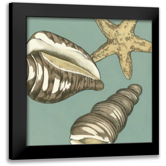 Meagher, Megan 12x12 Black Modern Framed Museum Art Print Titled - Small Shell Trio on Blue I