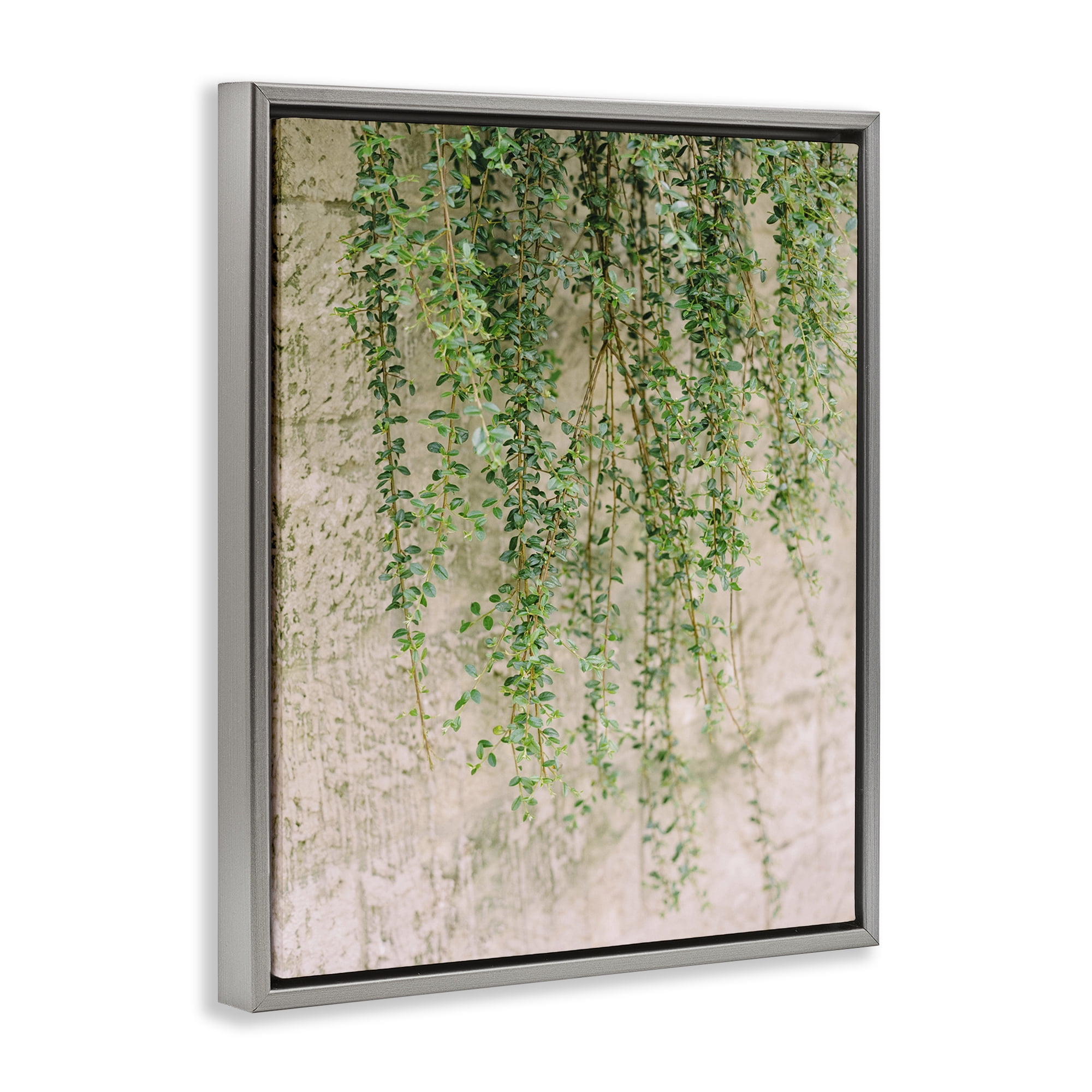 Stupell Industries Hanging Ivy Vines Botanical & Floral Photography Gray Floater Framed Art Print Wall Art, 17 x 21