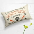thumbnail image 4 of AVOIN colorlife Easter Locally Grown Carrot Patch Pillow Cover Decorative Throw Pillowcase, 18 x 18 inch White Rustic Spring Seasonal Square Cushion Protector for Sofa Couch Home Decor, 4 of 6