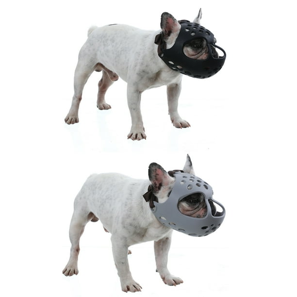 Novelty muzzles 2024 for dogs