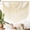Ivory2, variant on Wall Hanging Boho Wall Hanging Brown Dorm Wall Decor Craftsmanship Handmade Tassel Knotting Boho Fiber Art Home Room Decor 47" W x 25" L