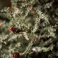 thumbnail image 4 of Vickerman 18" Carmel Pine Artificial Christmas Tree, Unlit, 4 of 5