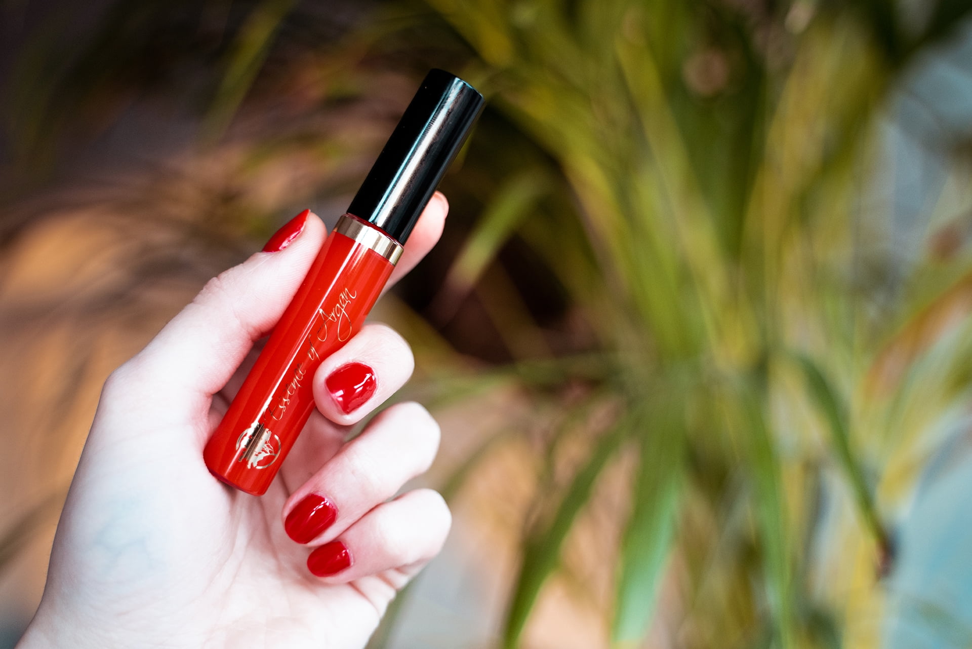 Essence of Argan Lip Gloss, Organic, Moisturizing, Plumping, Clear Red