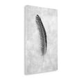 thumbnail image 2 of Tangletown Fine Art Feathers - 5 by Alan Blaustein Poster Frame - 24 x 16 x 1.5 in., 2 of 3