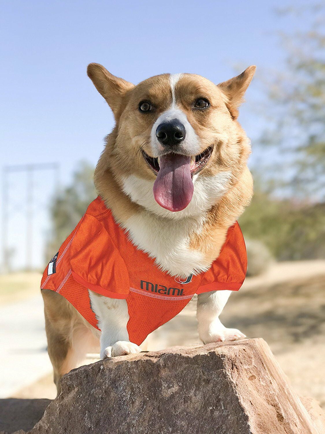 Pets First Collegiate Miami Hurricanes Football/Basketball Mesh Jersey for Pet Dog. available in 40+ Teams - Extra Large