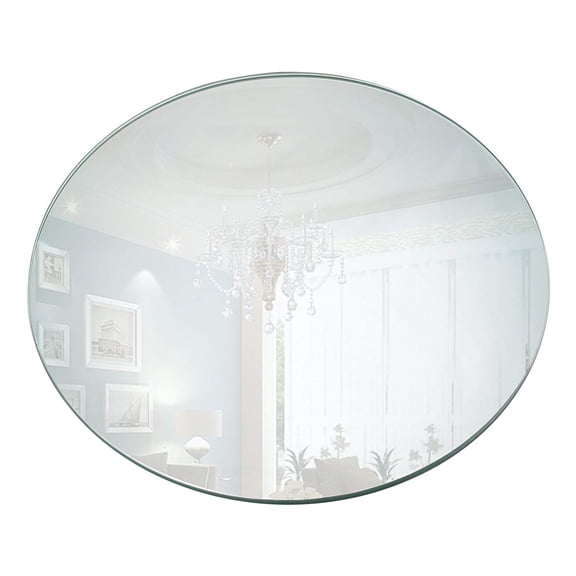 Round Acrylic Trays, Quality Dishwasher Safe Plates for Table Centerpieces and Wall Decor Crafts