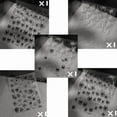 thumbnail image 7 of Yoyauz Halloween Nail Stickers 5PCS 3D Self-Adhesive Spider Web Bat Design, Used For Decorating Diy Nail Products For Halloween, 7 of 7