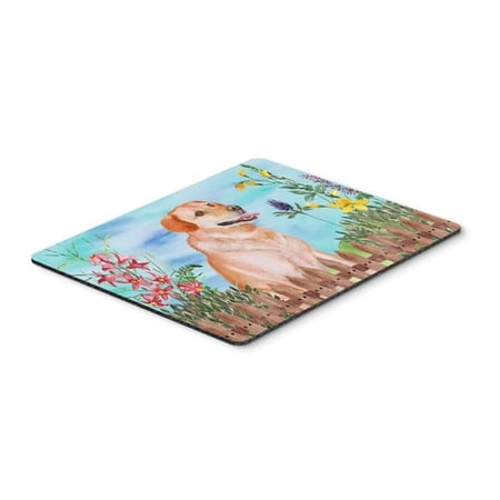 Labrador Retriever Spring Mouse Pad  Hot Pad or Trivet price history on PriceWatchPro
