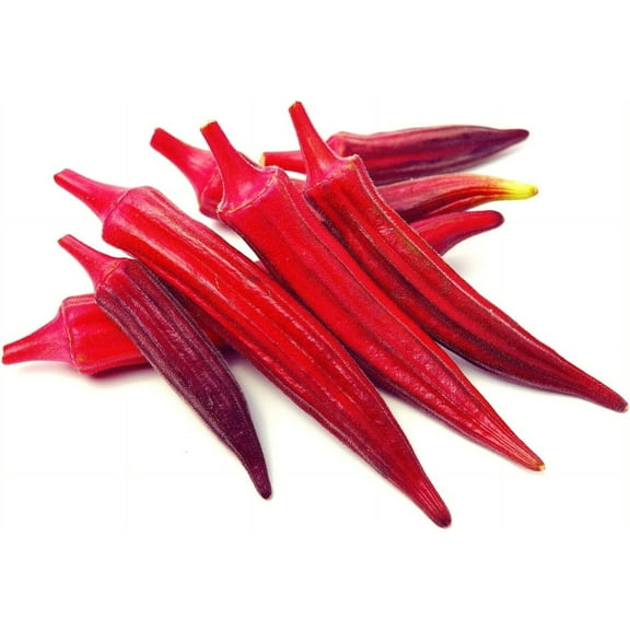 Red Burgundy Okra Seeds 100 Heirloom Seeds Abelmoschus esculentus