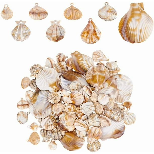 120 colgantes de conchas de playa en 8 estilos diferentes, de acrílico, con forma de vieira y almeja. Incluyen un agujero.