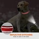 thumbnail image 5 of Collar de nailon reflectante para perros con hebilla de seguridad, collares ajustables para mascotas con acolchado de neopreno suave para perros de tamaño mediano, rojo, 5 of 5
