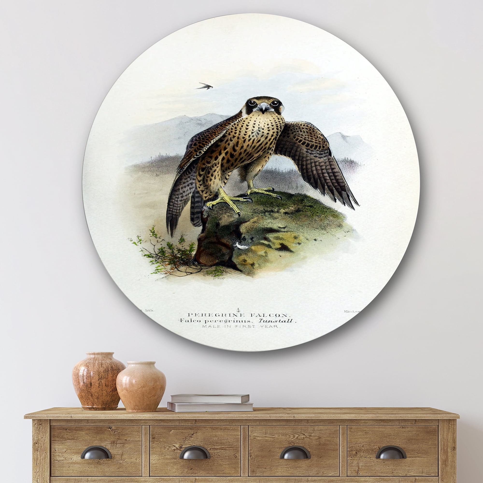 Designart 'Ancient Bird Life VIII' Traditional Circle Metal Wall Art 36x36 - Disc of 36