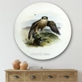 thumbnail image 2 of Designart 'Ancient Bird Life VIII' Traditional Circle Metal Wall Art 29x29 - Disc of 29, 2 of 5