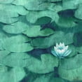 thumbnail image 2 of Kimberly, Allen 26x26 White Modern Wood Framed Museum Art Print Titled - Lotus Blossom, 2 of 4