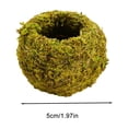 thumbnail image 6 of Moss Ball Planter, Natural Kokedama Plant Holder for Home Decor, 6 of 8