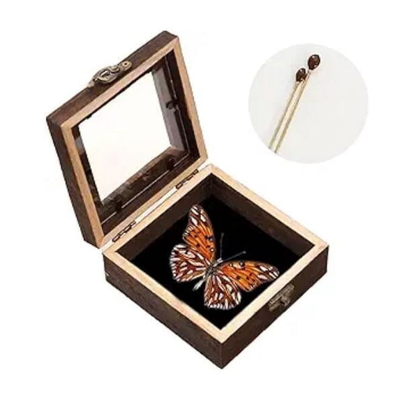 BERTDOMD Rustic Wooden Butterfly Display Shadow Box with Padding for Photos, Tickets, Keepsakes, and Insect Collection