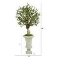 thumbnail image 2 of Nearly Natural 3.5' Olive Artificial Tree in Sand Colored Urn, 2 of 4