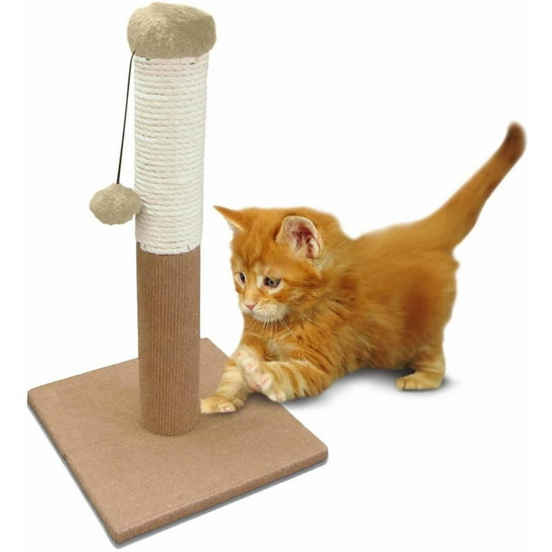 ASPCA Cat Tree Scratching Post Cat Toy, Blue