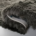 thumbnail image 2 of Safavieh Paris Darwin Plush Shag Area Rug, 2 of 7