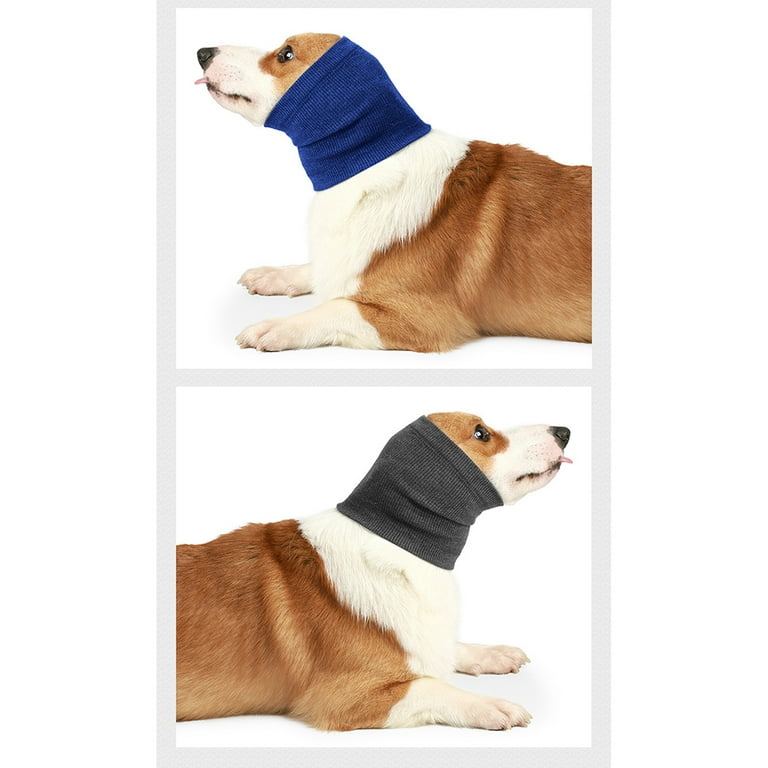 Thunder scarf for dogs 2025