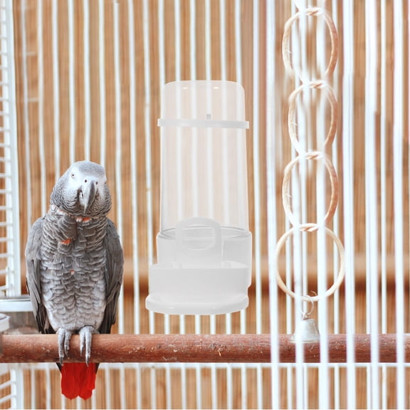 Hytrove Automatic White Parakeet Water Dispenser for Bird Cage with Large Capacity