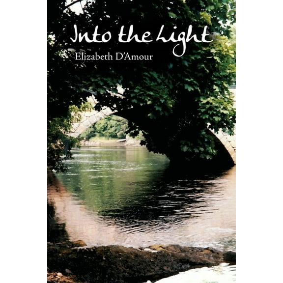 Into the Light (Paperback)
