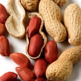thumbnail image 2 of Amoretti - Peanut Praline Industrial Compound 60 lbs - Natural Flavors, Shelf Stable Even After Opening, Certified Kosher, TTB Approved, Perfect for Baking Applications & Beverages, 2 of 3