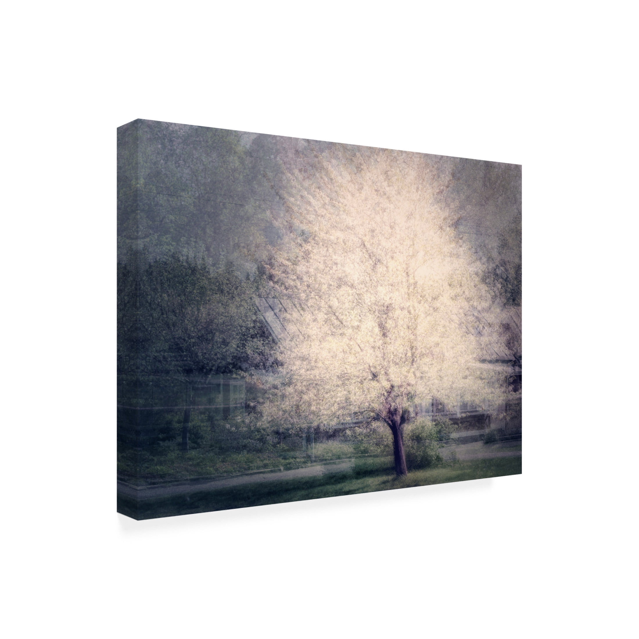 Canvas Wall Art - Delphine Devos 'Apple Tree In Bloom' Wall Art for Living Room, Bedroom, or Office Décor by Trademark Fine Art - 47 x 35 Inches