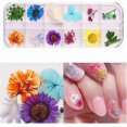 thumbnail image 1 of Dried Flowers, Dried Flowers for Nail Art, 3D Nail Art Sticker/Decals, Real Natural Small Pressed Dried Flowers with Starry, Leaves, Five Flower, and, 1 of 4