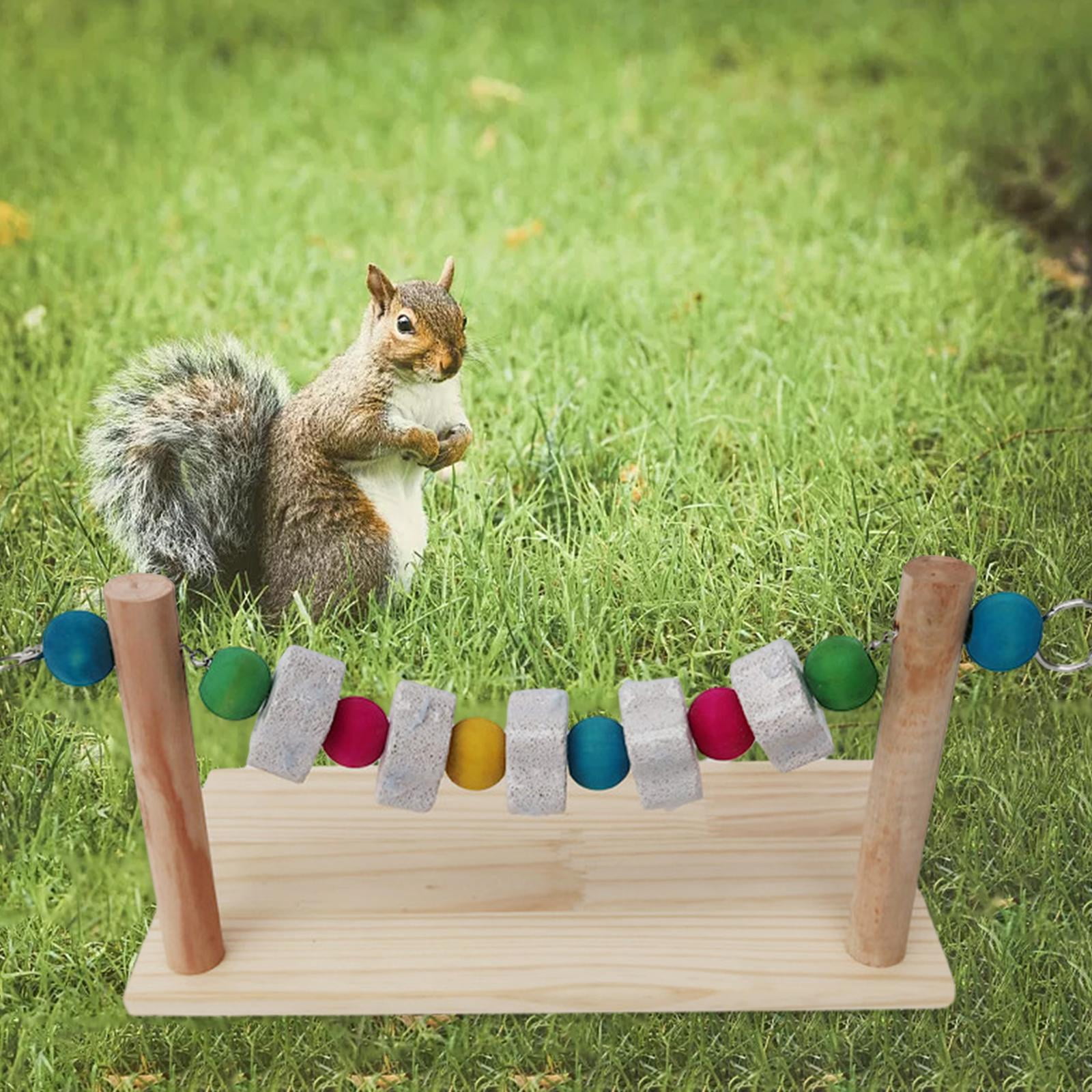 Bird Stand Grinding Block Wood Playground Training Perching Bite Chews Toy Molar