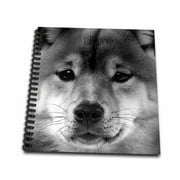3dRose Shiba Inu - Mini Notepad, 4 by 4-inch