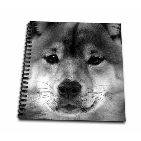 3dRose Shiba Inu - Mini Notepad, 4 by 4-inch