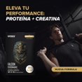 thumbnail image 5 of Caja con 10 sobres de Proteina Vegetal 42 g c/u Golden Vainilla Birdman, 5 of 5