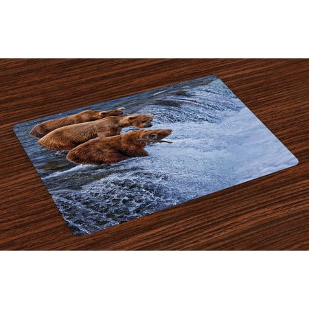 Africa Placemats Set of 4 Grizzly Bears Fishing in the River Waterfalls Cascade in Alaska Nature Camp View, Washable Fabric Place Mats for Dining Room Kitchen Table Decor,Brown White, by (Best Places To Camp In Alaska)