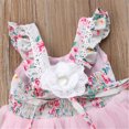 thumbnail image 7 of Bagilaanoe Little Girl Party Dress Floral Print Sleeveless A-line Princess Dresses 1T 2T 3T 4T 5T 6T 7T Kid Patchwork Tulle Skirt Formal Gown Dresses, 7 of 7