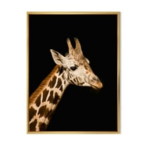 Designart 'Close Up Portrait Of A Giraffe On Black IV' Farmhouse Framed Canvas Wall Art Print