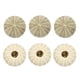 thumbnail image 1 of 6 macetas de aire con forma de erizo de mar para decoración de mesa, manualidades y bricolaje., 1 of 8