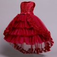 thumbnail image 1 of Vestidos infantiles para niñas, vestido de fiesta de flores de encaje, fiesta de bodas de cumpleaños, banquete de princesa, vestido sin mangas de verano para niños, 9-10T (etiqueta 150) Gao Jinjia LED, 1 of 2