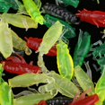 thumbnail image 3 of 100 Uds Cebo de Grillo para Pesca, Señuelo Suave, Señuelos Ligeros para , Señuelos Artificiales Portátiles para Agua Dulce Y Salada Macarena Cebo para insectos grillo, 3 of 8