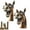 horse, variant on Pekkaxy Funny Horse with Glasses PVC Window Sticker 9.8x14.6 Inch, Peel and Stick Design for Instant Humor and Conversation, for Bedroom Living Room Office