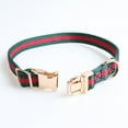 thumbnail image 5 of Collar de perro de primera calidad, collar de perro suave y cómodo de estilo lujoso, collar de perro ajustable duradero, 5 of 5