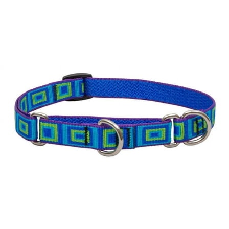 3/4in Sea Glass 14-20 Martingale Dog Collar