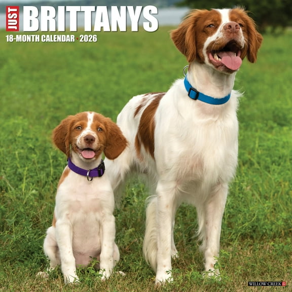 Brittanys 2026 Wall Calendar