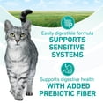 thumbnail image 5 of Purina ONE Plus Dry Cat Food Sensitive Skin & Stomach, Natural Turkey, 22 lb Bag, 5 of 12