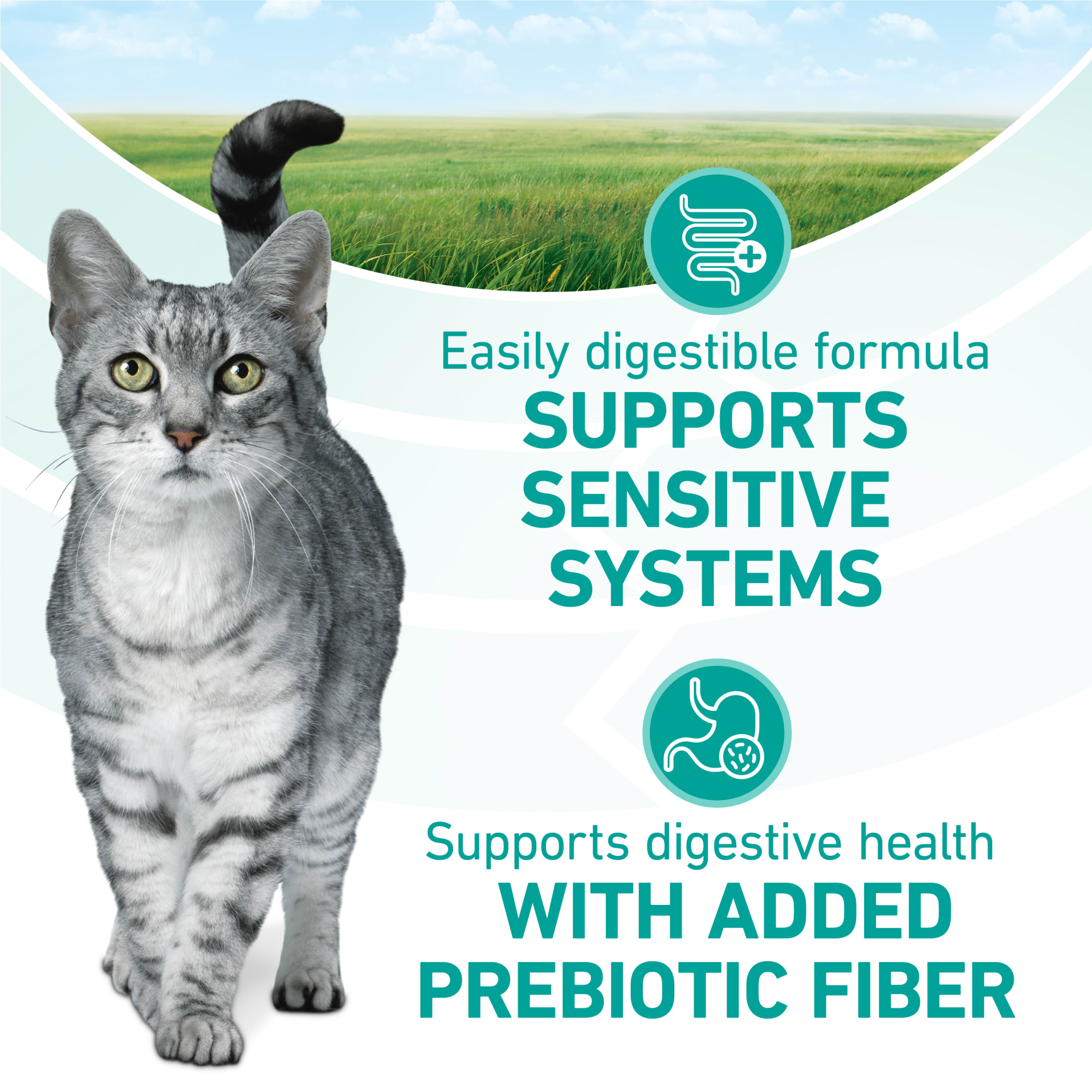 Purina ONE Plus Sensitive Skin & Stomach Dry Cat Food, 7 lb photo 4