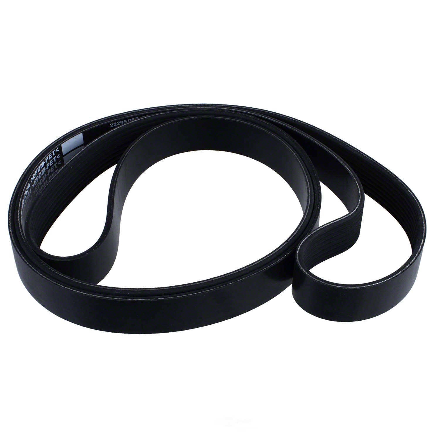 Motorcraft JK8-843 Serpentine Belt